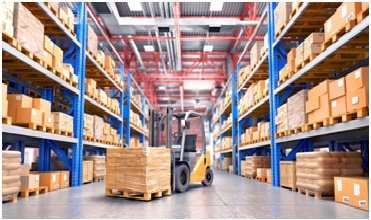 Movers And Packers in Solapur